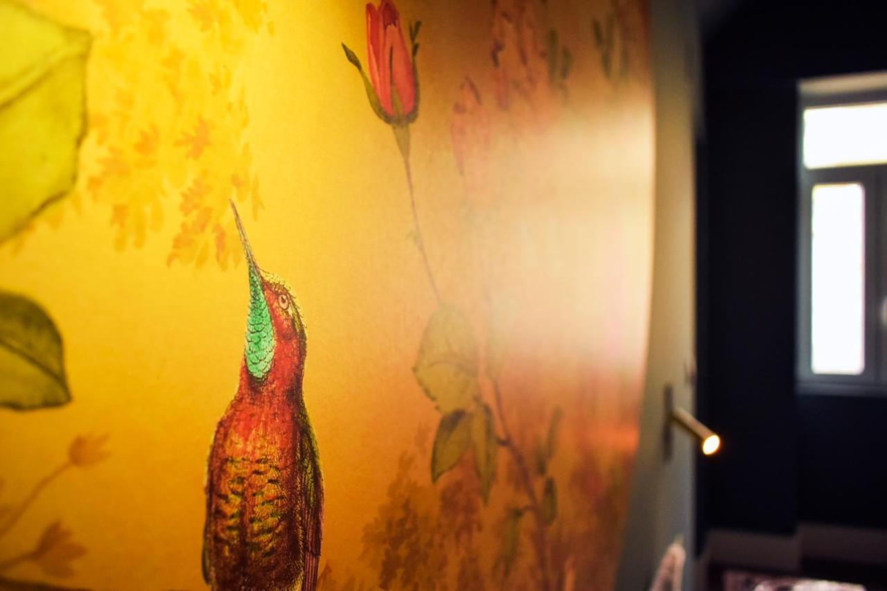 Arte Nova Guesthouse Covilhã Zewnętrze zdjęcie